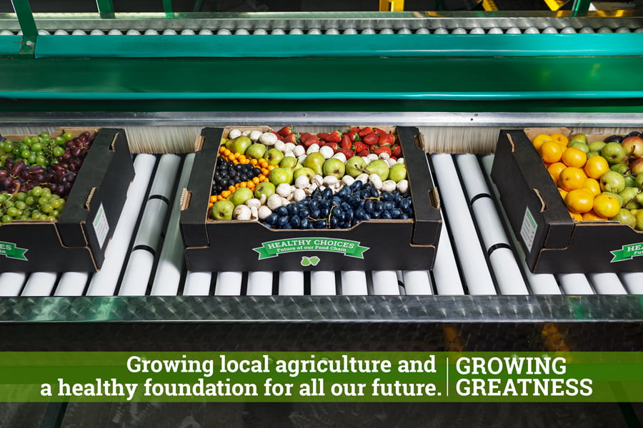AGRI-WESTERN-CAPE---SA-FRUIT-FLAG-PRODUCTION_