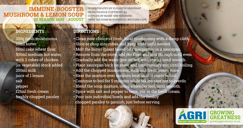 AGRIWC_IMMUNE-BOOSTER-MUSHROOM-LEMON-SOUP..