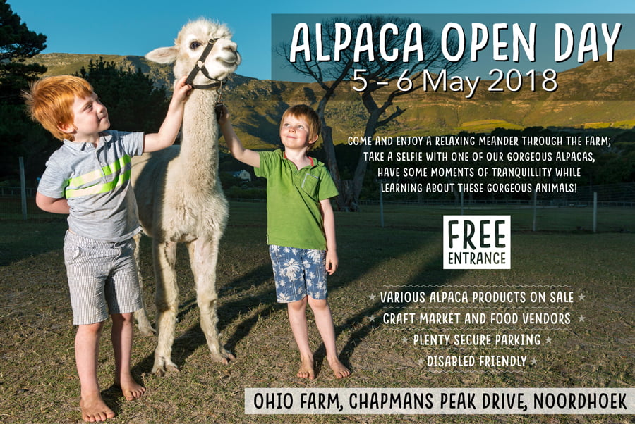 ALPACA-DAY_FN