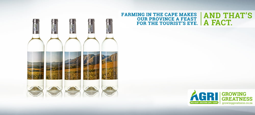 Agri-Western-Cape_Growing-Greatness_FACT-TREE_AGRI-WINEFARMS-MAKES-CAPE-TOURISM-CANVAS