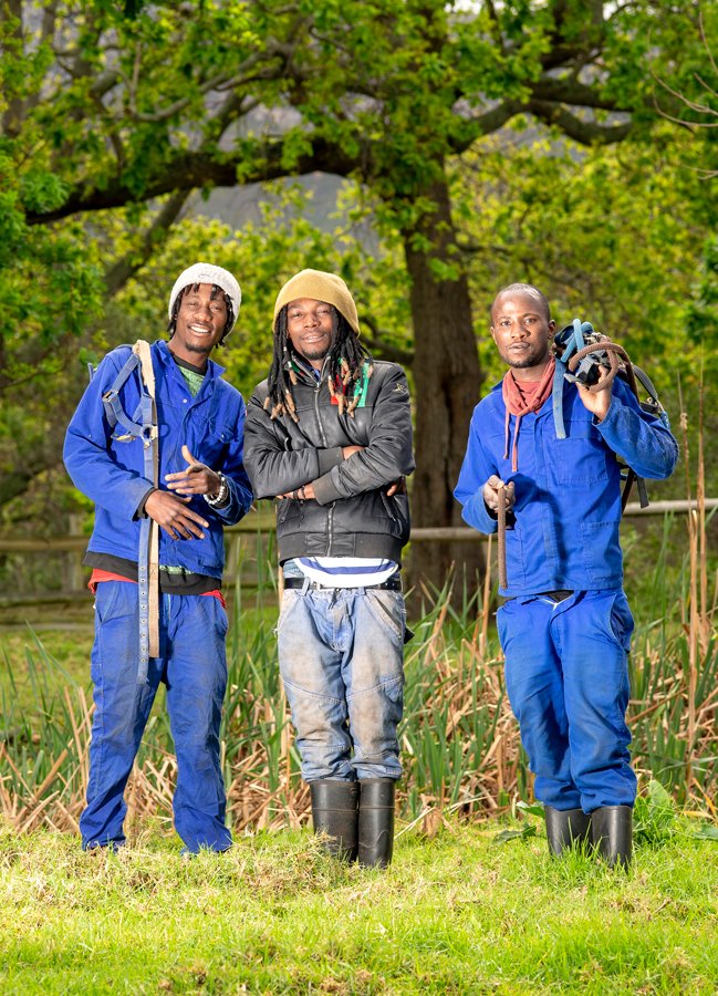 Horse-Grooms-of-Noordhoek