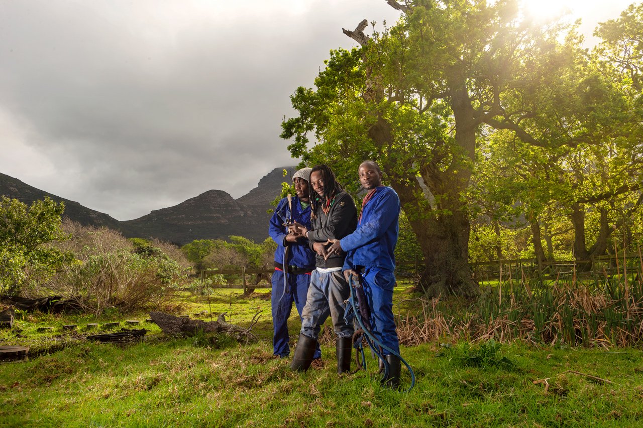 Horse-Groomsmen_Noordhoek_KnutOtto
