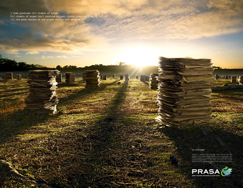 PRASA-PAPER-FOREST