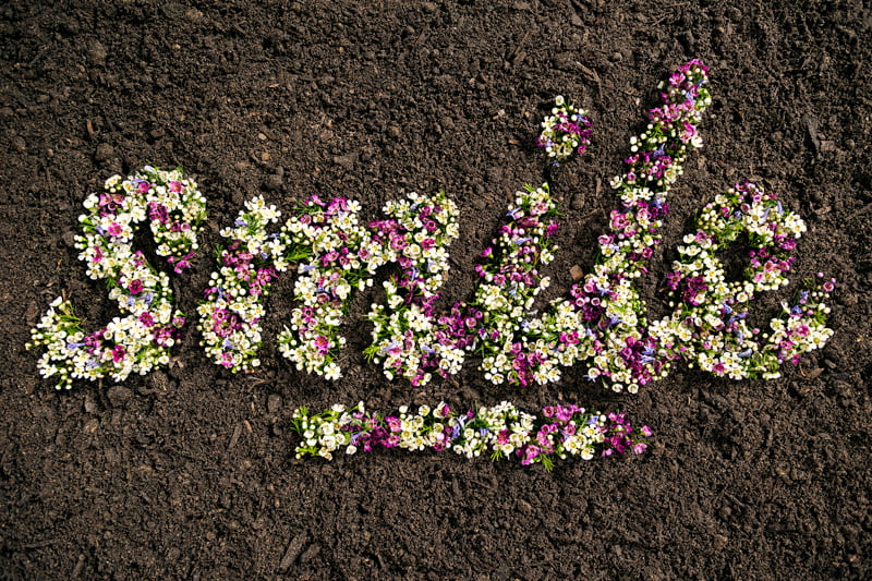 SMILE-FLOWER